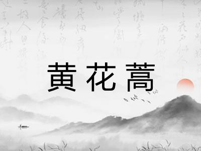 黄花蒿