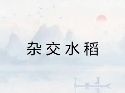 杂交水稻