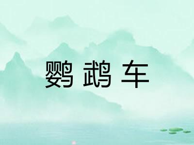 鹦鹉车