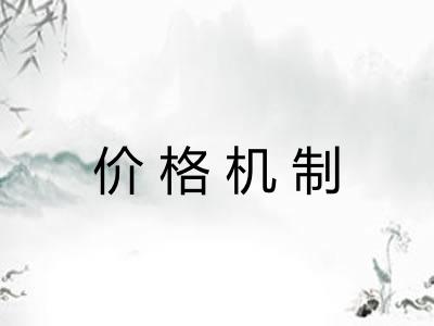价格机制 价格机制