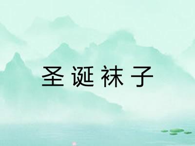 圣诞袜子