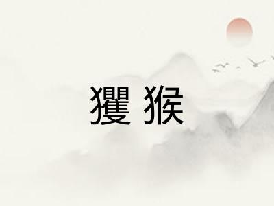 玃猴