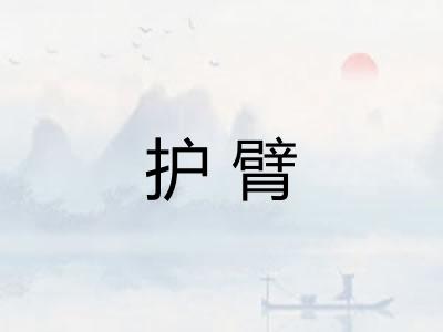 护臂