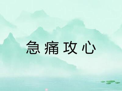 急痛攻心
