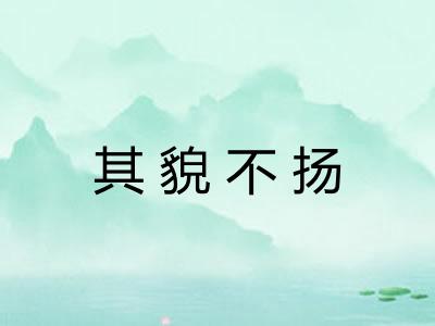 其貌不扬