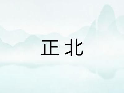 正北
