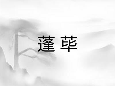 蓬荜 蓬荜