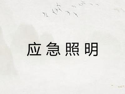 应急照明
