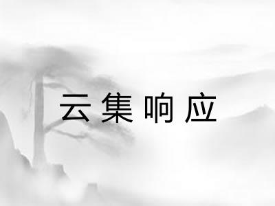 云集响应