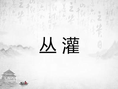 丛灌