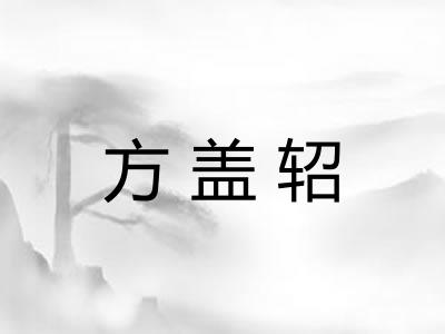 方盖轺