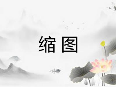 缩图