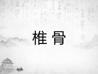 椎骨