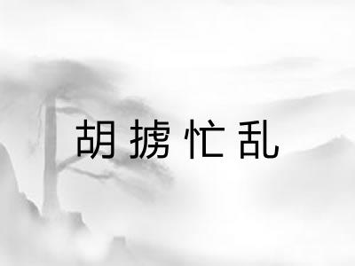 胡掳忙乱