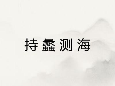 持蠡测海