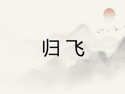 归飞
