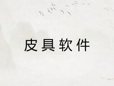 皮具软件
