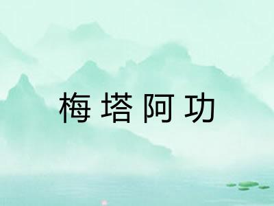 梅塔阿功