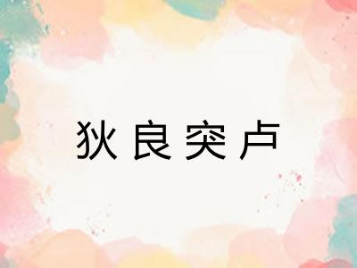 狄良突卢