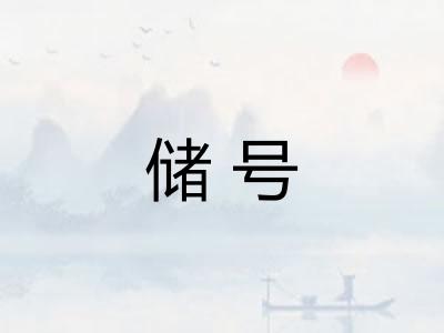 储号