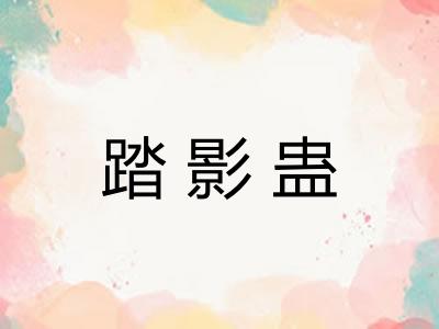 踏影蛊 踏影蛊