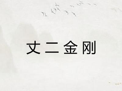 丈二金刚 丈二金刚