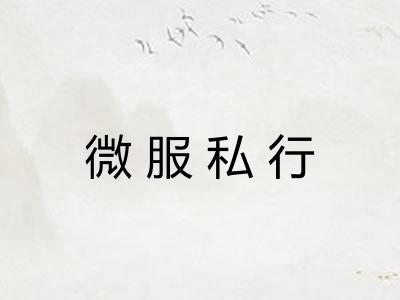 微服私行 微服私行