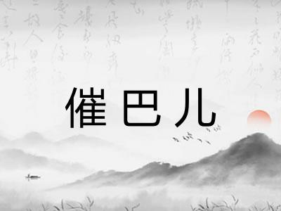 催巴儿