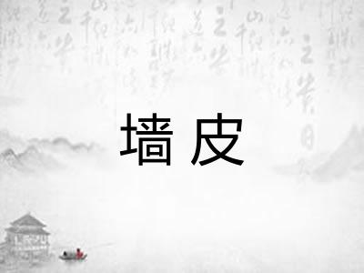 墙皮