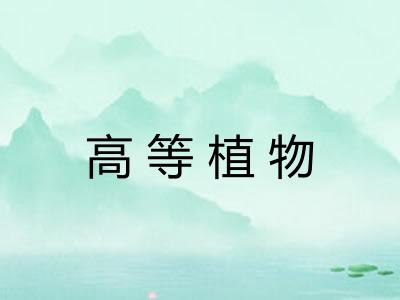 高等植物