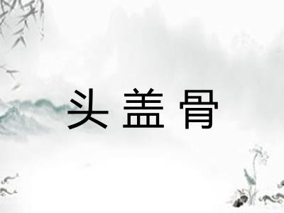 头盖骨