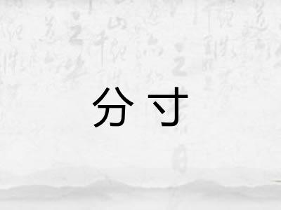 分寸