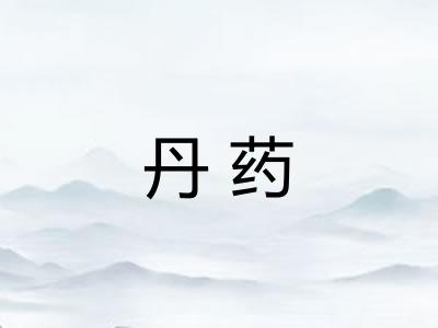 丹药