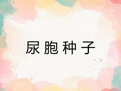 尿胞种子