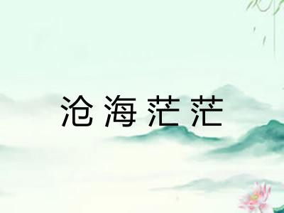 沧海茫茫