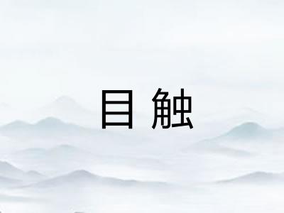 目触