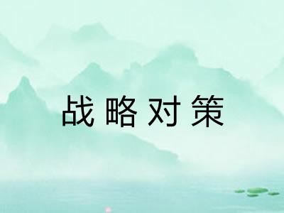 战略对策