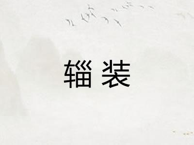 辎装 辎装