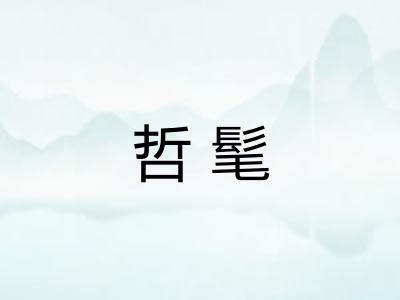 哲髦