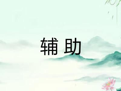 辅助 辅助
