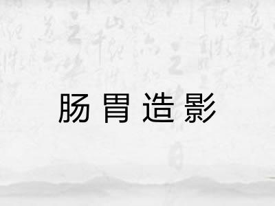 肠胃造影 肠胃造影
