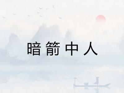 暗箭中人