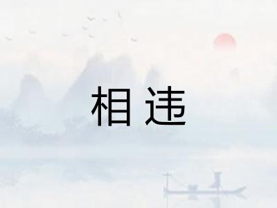 相违 相违