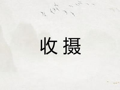 收摄