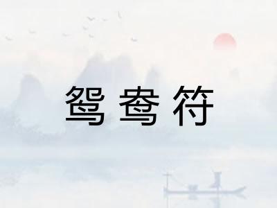 鸳鸯符