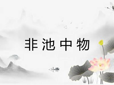 非池中物