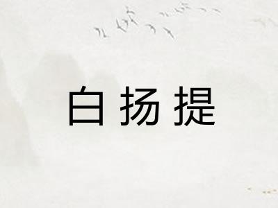 白扬提