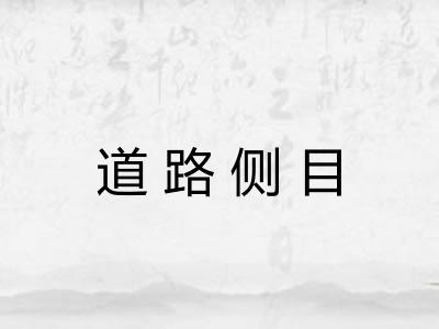 道路侧目
