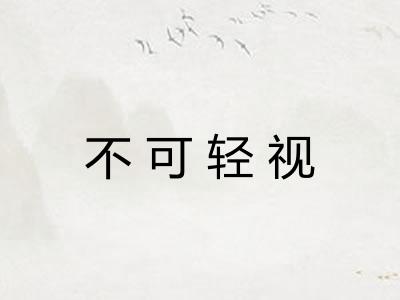 不可轻视