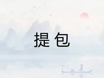 提包